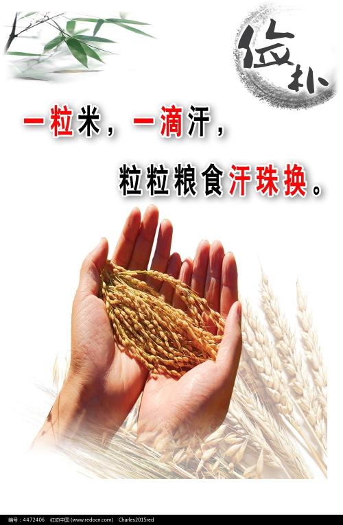 制造学位证
